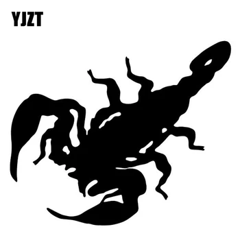 YJZT 15.8CM*13.1CM Scorpion Pattern Decorate Car Door Car Sticker Vinyl Decal Black/Silver C4-2881
YJZT 15.8CM*13.1CM Scorpion Pattern Decorate Car Door Car Sticker Vinyl Decal Black/Silver C4-2881