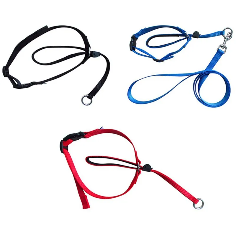 Pet Dog Head Collar Gentle Control Leash Leader Stop Pulling Training Tool No-Pull Painless Head Leash Collar Pet Products
Pet Dog Head Collar Gentle Control Leash Leader Stop Pulling Training Tool No-Pull Painless Head Leash Collar Pet Products