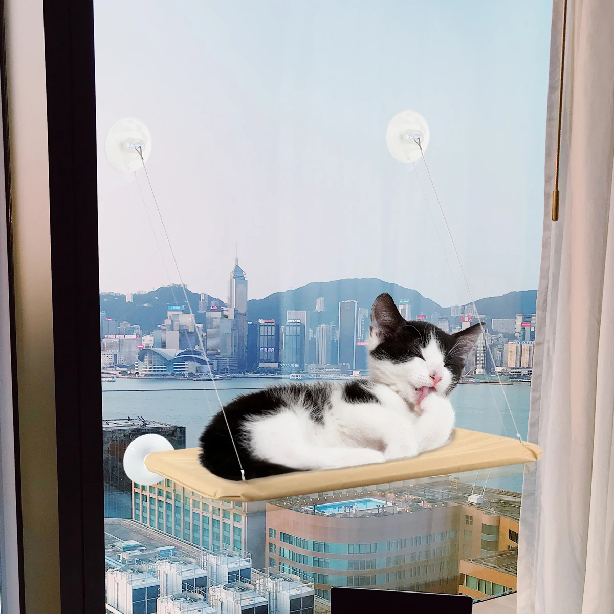 Pet Hammock Cat Puppy Window Mounted Basking Bed Pet Shelf Kitten Perch Seat High Hammock Windowsill Cat Sucker Small Hammocks
Pet Hammock Cat Puppy Window Mounted Basking Bed Pet Shelf Kitten Perch Seat High Hammock Windowsill Cat Sucker Small Hammocks