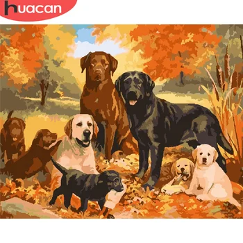 HUACAN DIY Painting By Number Dog Hand Painted Paintings Art Drawing On Canvas Gift Pictures By Numbers Animal Kits Home Decor
HUACAN DIY Painting By Number Dog Hand Painted Paintings Art Drawing On Canvas Gift Pictures By Numbers Animal Kits Home Decor