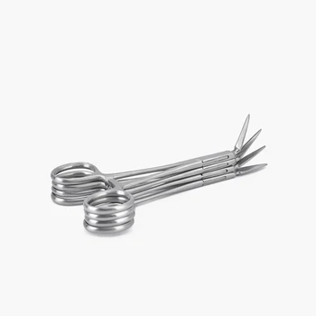 Multi angle root forceps for root extraction and minimally invasive extraction of tooth fragments
Multi angle root forceps for root extraction and minimally invasive extraction of tooth fragments