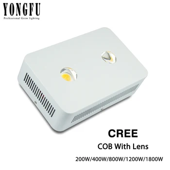 CREE CXA3070 LED Grow Light Plants COB Full Spectrum 200W 800W 1800W With Lens for Greenhouse Hydroponic Indoor Planting
CREE CXA3070 LED Grow Light Plants COB Full Spectrum 200W 800W 1800W With Lens for Greenhouse Hydroponic Indoor Planting