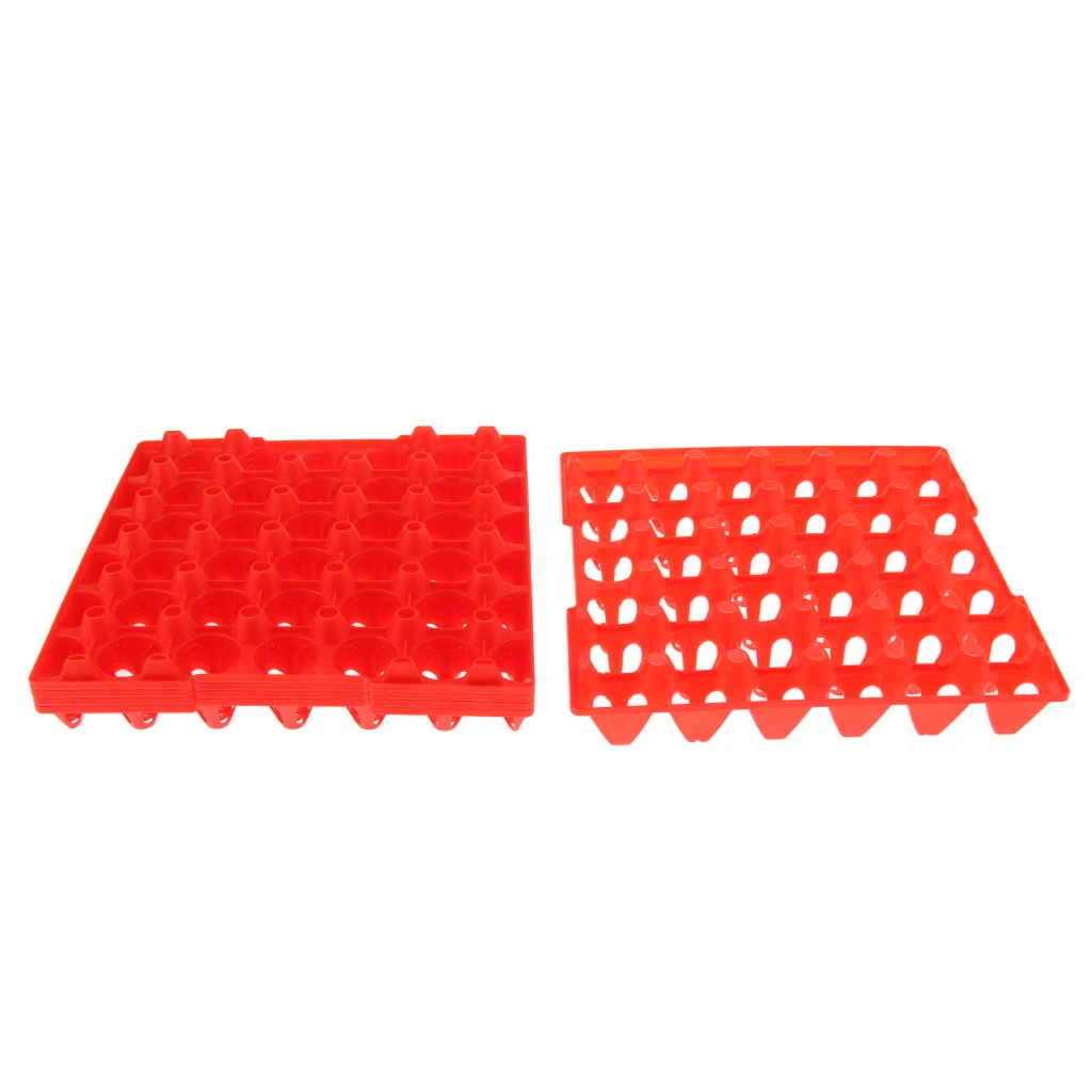 5Pcs 30-Chicken Eggs Tray For Duck Quail Bird Poultry Egg Container Holder 5Pcs 30-Chicken Eggs Tray For Duck Quail Bird Poultry Egg Container Holder