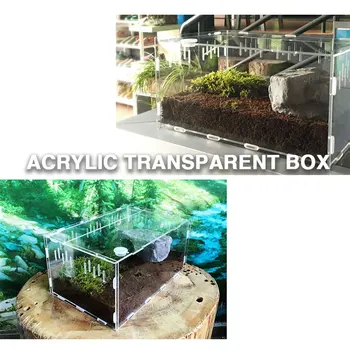 Practical Reptile Box Pet Supplies Cold Blooded Animals Transparent Portable Pet Box Home Decoration Insect Acrylic
Practical Reptile Box Pet Supplies Cold Blooded Animals Transparent Portable Pet Box Home Decoration Insect Acrylic