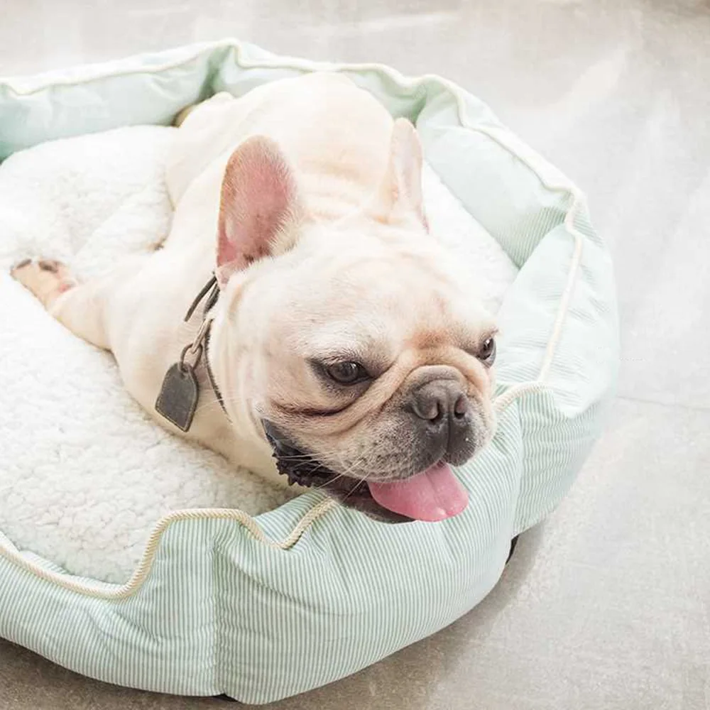 Warm Dog Beds Mats Sleeping Fleece Dog Bed Removable Luxury Soft Comfort Cotton Pet Cat Dog Beds Dropshipping
Warm Dog Beds Mats Sleeping Fleece Dog Bed Removable Luxury Soft Comfort Cotton Pet Cat Dog Beds Dropshipping