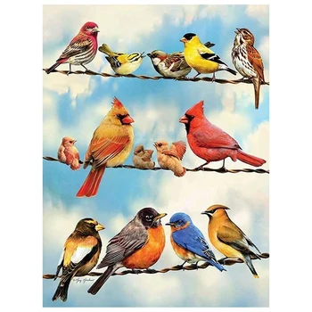 Diamond Painting Full Round Drill Diamond Art Cross Stitch Arts Craft Canvas for Wall Decor Birds
Diamond Painting Full Round Drill Diamond Art Cross Stitch Arts Craft Canvas for Wall Decor Birds