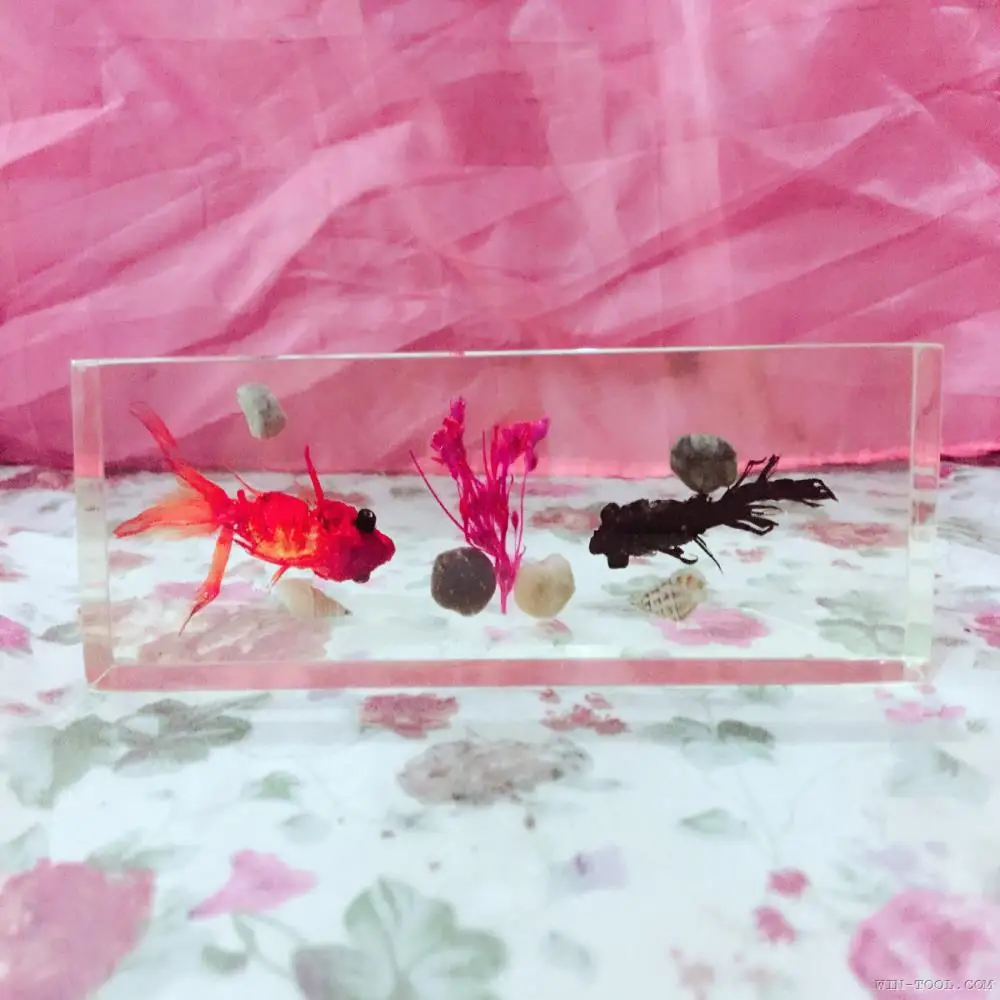 Goldfish Embedded Specimen Resin Real Fish Bones Animal Specimen Models Biological Anatomy Teaching Aids Resin Handicraft
Goldfish Embedded Specimen Resin Real Fish Bones Animal Specimen Models Biological Anatomy Teaching Aids Resin Handicraft