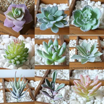 12pcs Simulation Succulents Flocking Small Fake Plant Artificial Flowers Decoration (12 Random Styles) Without Pot
12pcs Simulation Succulents Flocking Small Fake Plant Artificial Flowers Decoration (12 Random Styles) Without Pot