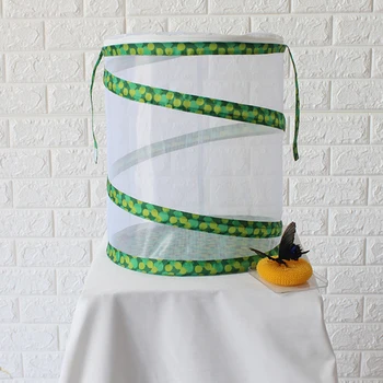 Breeding Display Box Insect and Butterfly Habitat Cage Mesh Terrarium Pop-up Cage Novelty Habitat Feeding System Part 
Breeding Display Box Insect and Butterfly Habitat Cage Mesh Terrarium Pop-up Cage Novelty Habitat Feeding System Part