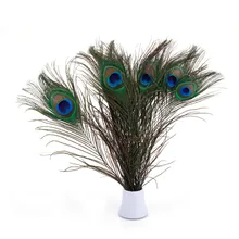 10pcs/Lot Fly Fishing Bait Material Natural Peacock Feather Tail Herls Quills Streamers Fly Tying Material Fly Fishing Bait
10pcs/Lot Fly Fishing Bait Material Natural Peacock Feather Tail Herls Quills Streamers Fly Tying Material Fly Fishing Bait