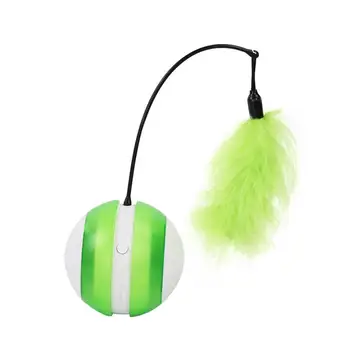 1PC Pet LED Glowing Toy Automatic Cat Teaser Training Toy Wand Funny Feather Stick Toy For Cat (Without Battery)
1PC Pet LED Glowing Toy Automatic Cat Teaser Training Toy Wand Funny Feather Stick Toy For Cat (Without Battery)