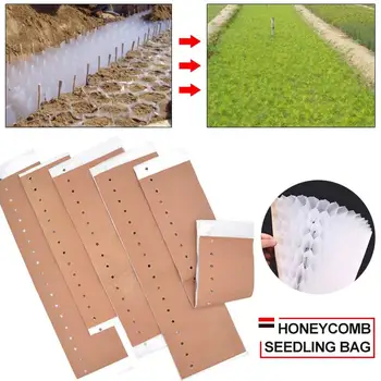PP Convenient Economic Seedling Bag Vegetable Bag Nursery Bags Honeycomb Seed Trays Plant Care Seeding Accessories Garden Pots
PP Convenient Economic Seedling Bag Vegetable Bag Nursery Bags Honeycomb Seed Trays Plant Care Seeding Accessories Garden Pots