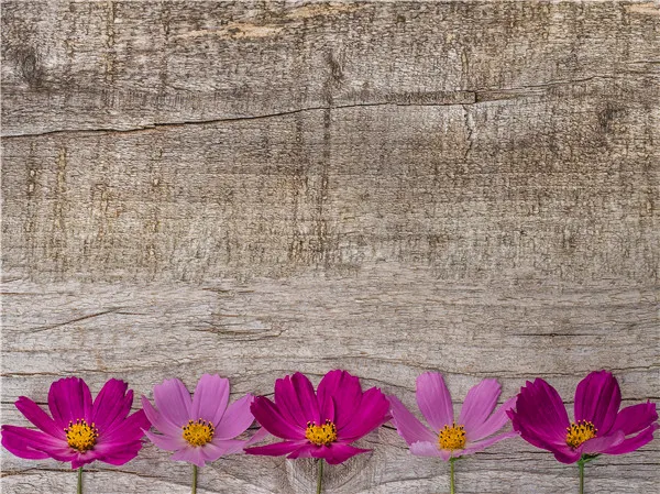 SHENGYONGBAO Vinyl Custom Photography Backdrops Prop Flower and Wood Planks theme Photo Studio Background M191110-05
SHENGYONGBAO Vinyl Custom Photography Backdrops Prop Flower and Wood Planks theme Photo Studio Background M191110-05