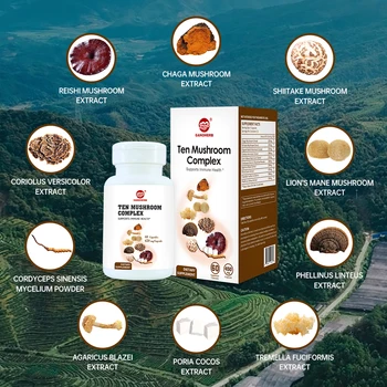 GANOHERB 5 Boxes Free Delivery Ganoderma Compound Capsule Extracts Organic Reishi Mushroom Spore Capsules 
GANOHERB 5 Boxes Free Delivery Ganoderma Compound Capsule Extracts Organic Reishi Mushroom Spore Capsules