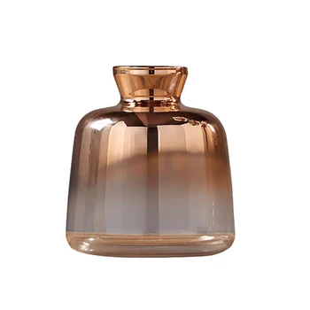 Glass Vase Nordic Electroplated Gold Vase Glass Flower Vases for Home Decor Dried Flower Bottle Bar Decoration(9X11cm)
Glass Vase Nordic Electroplated Gold Vase Glass Flower Vases for Home Decor Dried Flower Bottle Bar Decoration(9X11cm)