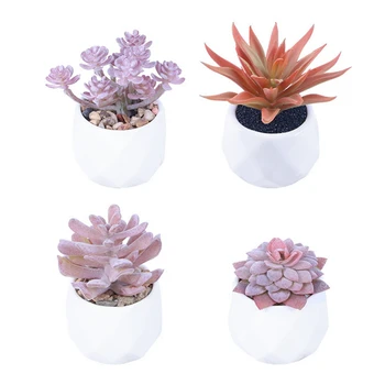 4 Pieces of Artificial Succulent Plants Potted Plants Succulents Purple Hanging Home Decoration
4 Pieces of Artificial Succulent Plants Potted Plants Succulents Purple Hanging Home Decoration