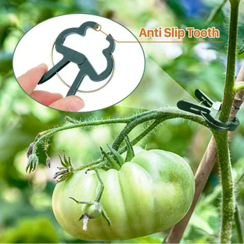 20PCS Large Plant & Garden Clips Support Tomato Vegetable Flower Vine Clamps Plant Support Clips Clamps For Plants Hanging Vine
20PCS Large Plant & Garden Clips Support Tomato Vegetable Flower Vine Clamps Plant Support Clips Clamps For Plants Hanging Vine