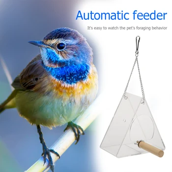 Triangle Type Birds Food Container Dispenser Hanging Pet Bird Transparent Feeder Adsorption House Type Bird Feeder
Triangle Type Birds Food Container Dispenser Hanging Pet Bird Transparent Feeder Adsorption House Type Bird Feeder