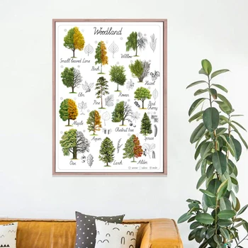 Tree Natural Educational Poster Canvas Prints Art Woodland Home Wall Decor Botanical Materials Preschool Kindergarten Painting
Tree Natural Educational Poster Canvas Prints Art Woodland Home Wall Decor Botanical Materials Preschool Kindergarten Painting