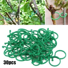 30 Pcs Plant Clips Support Ties Help Vine Stems Vegetables Tomato Flowers Grow Supports Greenhouse Garden Supplies
30 Pcs Plant Clips Support Ties Help Vine Stems Vegetables Tomato Flowers Grow Supports Greenhouse Garden Supplies