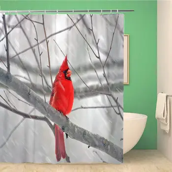 Bathroom Shower Curtain Red Bird Cardinal in Winter Snow Cold Feather Polyester Fabric 72x78 inches Waterproof Bath Curtain Set 
Bathroom Shower Curtain Red Bird Cardinal in Winter Snow Cold Feather Polyester Fabric 72x78 inches Waterproof Bath Curtain Set