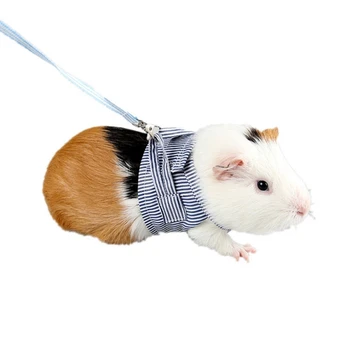 Two-Legged Pet Clothes Spring And Summer Cotton Cloth Hedgehog Small Pet Chest Strap Dutch Pig Out Of The Traction Rope x
Two-Legged Pet Clothes Spring And Summer Cotton Cloth Hedgehog Small Pet Chest Strap Dutch Pig Out Of The Traction Rope x