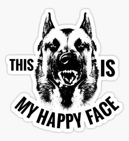

THIS IS MY HAPPY FACE Belgian Malinois Vinyl Decal Sticker for Window Sign Art Print Pet Dog Black Cool and Creative 15CM