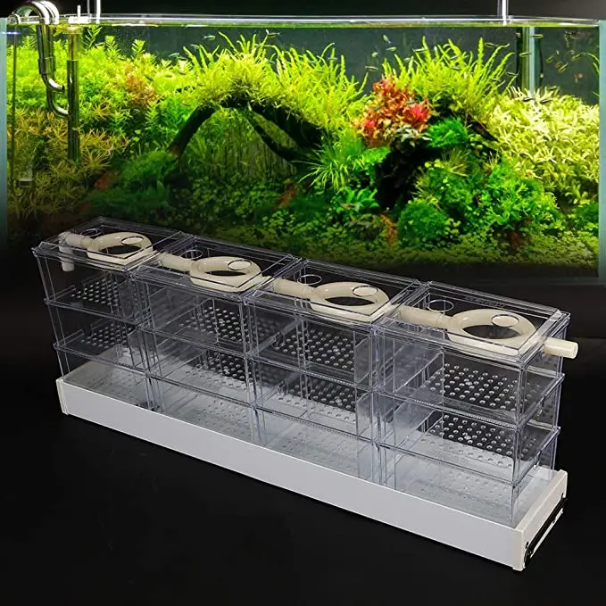 Aquarium Filter Pump Set Fish Tank Upper Trickle Box Canister Filter System,Upper filter Aquarium trickling filter box top filte
Aquarium Filter Pump Set Fish Tank Upper Trickle Box Canister Filter System,Upper filter Aquarium trickling filter box top filte