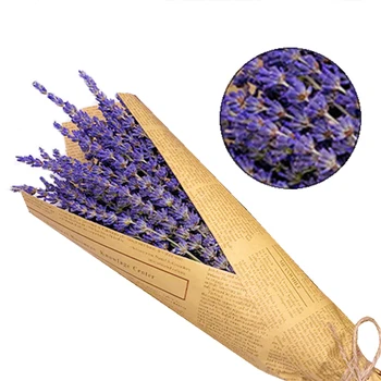 100Pcs Dried Natural Flower Bouquets Dried Natural Lavender Flower Bouquet&Lavender Flower Bunches Photo Props
100Pcs Dried Natural Flower Bouquets Dried Natural Lavender Flower Bouquet&Lavender Flower Bunches Photo Props