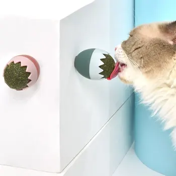 New Healthy Cat Snack Catnip Eggshell Catnip Ball Cat Toy Cute Funny Stick Funny Cats Artifact Home Pet Toys Energy Ball Product
New Healthy Cat Snack Catnip Eggshell Catnip Ball Cat Toy Cute Funny Stick Funny Cats Artifact Home Pet Toys Energy Ball Product