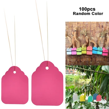 100pcs Plant Labels Vegetable Potted Flowers Garden Marking Tool Identification Easy Clean Reusable Hanging Tags Farm Waterproof
100pcs Plant Labels Vegetable Potted Flowers Garden Marking Tool Identification Easy Clean Reusable Hanging Tags Farm Waterproof