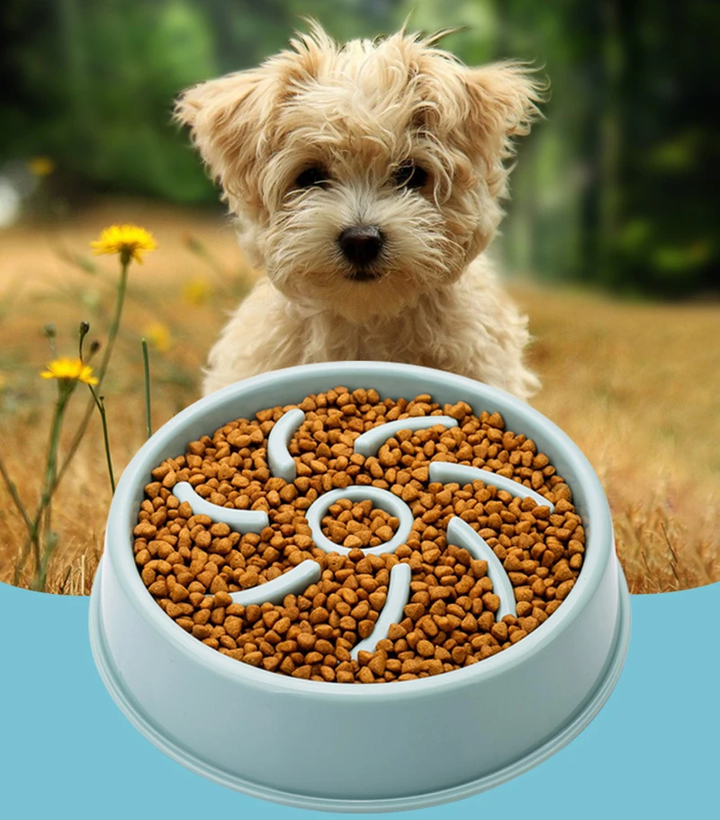 dog bowl to stop gulping