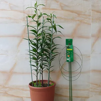 1/5/10Pcs Plant Support Cages Garden Plant Support Rings Flower and Plant Supports Round Plant Supports Hoops
1/5/10Pcs Plant Support Cages Garden Plant Support Rings Flower and Plant Supports Round Plant Supports Hoops