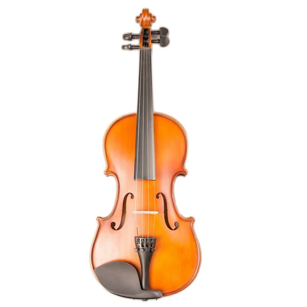 Art Stripes Maple Acoustic Violin Violino Fiddle Stringed Instrument with Full Accessories for Beginner Students Violin
Art Stripes Maple Acoustic Violin Violino Fiddle Stringed Instrument with Full Accessories for Beginner Students Violin