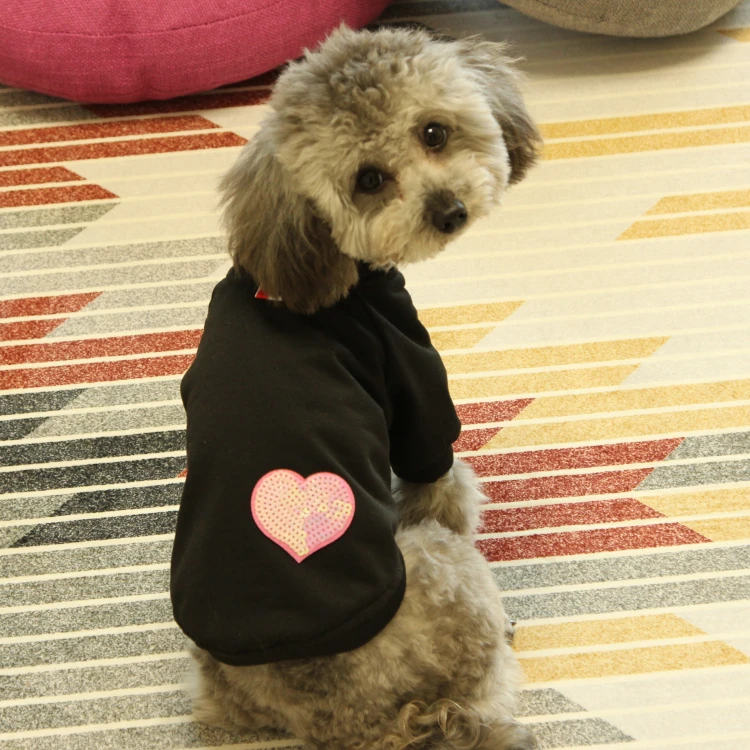 Cute Dog Hoodie Print Sweater Clothes Pet Dog Jacket Supplies Dog Clothing Sudaderas Perro Funny Dogs Costumes Coat KK60GW
Cute Dog Hoodie Print Sweater Clothes Pet Dog Jacket Supplies Dog Clothing Sudaderas Perro Funny Dogs Costumes Coat KK60GW