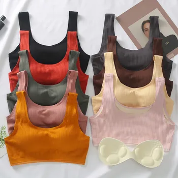 Women Wireless Push Up Bras Top Vest Breathable Chest Pad Wearing Sleep Sports Underwear Comfort Women sexy Intimates Bra 
Women Wireless Push Up Bras Top Vest Breathable Chest Pad Wearing Sleep Sports Underwear Comfort Women sexy Intimates Bra