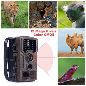 HC800M Hunting Camera 80-foot Detection Range 12MP 0.6 Second Trigger Speed 125° Detection Angle MMS GPRS HC800M Trail Camera
HC800M Hunting Camera 80-foot Detection Range 12MP 0.6 Second Trigger Speed 125° Detection Angle MMS GPRS HC800M Trail Camera