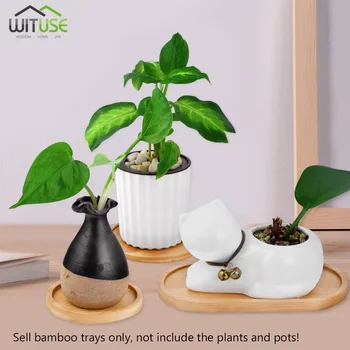 Bonsai Flower Pots Water Tray Gardening Flower Pot Accessories Boutique Simple Home Square Tray Bamboo Flower Pot Tray
Bonsai Flower Pots Water Tray Gardening Flower Pot Accessories Boutique Simple Home Square Tray Bamboo Flower Pot Tray