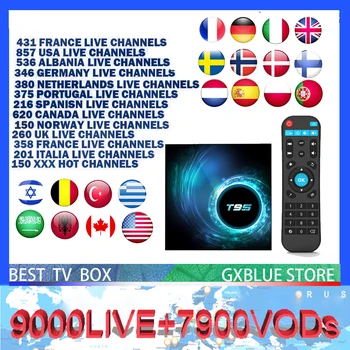 T95 Android 10.0 IPTV BOX 9000+LIVE France Germany Beigium Arabic Italy Dutch IPTV 1Year Subscription TV Box
T95 Android 10.0 IPTV BOX 9000+LIVE France Germany Beigium Arabic Italy Dutch IPTV 1Year Subscription TV Box