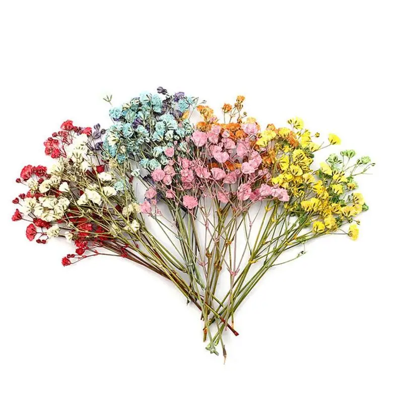 12pcs Filling Flower Dry Handmade Flowers DIY Epoxy Resin Filler Crafts Silicone Molds Tools Crystal UV Accessories Decoration
12pcs Filling Flower Dry Handmade Flowers DIY Epoxy Resin Filler Crafts Silicone Molds Tools Crystal UV Accessories Decoration