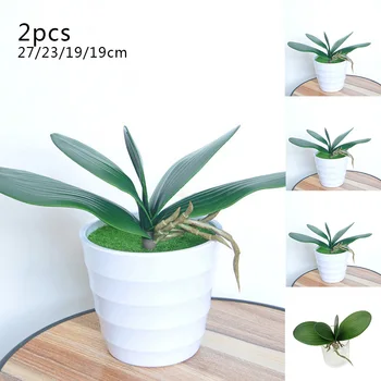 2pcs Artificial Plants Real Touch Phalaenopsis Leaf Decorative Flowers Touch Phalaenopsis Leaf Artificial Plant Leaf
2pcs Artificial Plants Real Touch Phalaenopsis Leaf Decorative Flowers Touch Phalaenopsis Leaf Artificial Plant Leaf