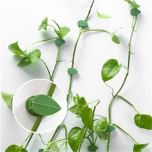 Plant Climbing Wall Fixture Invisible Leaf Shape Rattan Vine Clip Fastener Traction Holder Vine Support Flower Hanger Glued Hook
Plant Climbing Wall Fixture Invisible Leaf Shape Rattan Vine Clip Fastener Traction Holder Vine Support Flower Hanger Glued Hook