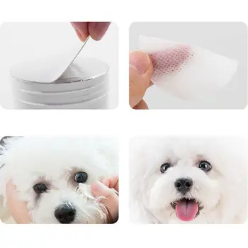 100Pcs Pet Eye Wet Wipes Cat Dog Tear Stain Remover Cleaning Wipes Grooming Paper Towels
100Pcs Pet Eye Wet Wipes Cat Dog Tear Stain Remover Cleaning Wipes Grooming Paper Towels