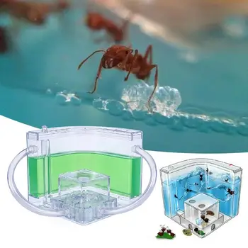 Pet Toy Colorful Ant Farm Ants House Funny Transparent Habitat Villa Feeding Area Specially Kids Gift Decoration Ant Nest
Pet Toy Colorful Ant Farm Ants House Funny Transparent Habitat Villa Feeding Area Specially Kids Gift Decoration Ant Nest