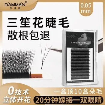 Graft Eyelashes Single Clover 3D Fairy Flower Flowering YY Upgrade False Eyelashes W Eyelashes Poseidon Flower 
Graft Eyelashes Single Clover 3D Fairy Flower Flowering YY Upgrade False Eyelashes W Eyelashes Poseidon Flower