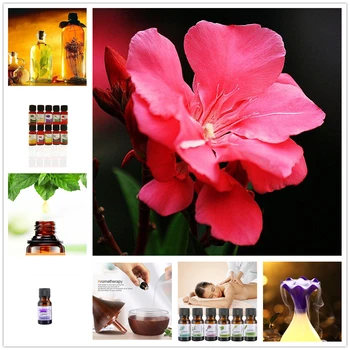 Pueraria Lobata Essential Oil Pure Natural 10ML Pure Essential Oils Aromatherapy Diffusers Oil Healthy Calming Air Fresh Care
Pueraria Lobata Essential Oil Pure Natural 10ML Pure Essential Oils Aromatherapy Diffusers Oil Healthy Calming Air Fresh Care