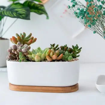 2pcs Succulent Plant Pots Decorative Classic Ceramic Flowerpots Succulent Container Rectangular Planters for Shop Home
2pcs Succulent Plant Pots Decorative Classic Ceramic Flowerpots Succulent Container Rectangular Planters for Shop Home