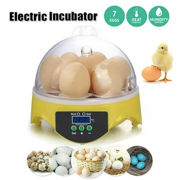 Mini Digital 7 Eggs Incubator Automatic Temperature Brooder Chicken Duck Bird Egg Hatcher 110 220V Farm Poultry Hatchery Machine
Mini Digital 7 Eggs Incubator Automatic Temperature Brooder Chicken Duck Bird Egg Hatcher 110 220V Farm Poultry Hatchery Machine
