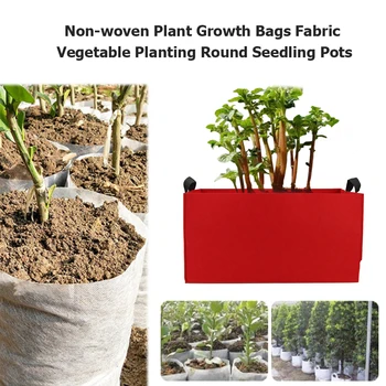 Plant Growth Bags Pots DIY Potato Garden Fabric Vegetable Planting Seedling Tool for Household Garden Accessories
Plant Growth Bags Pots DIY Potato Garden Fabric Vegetable Planting Seedling Tool for Household Garden Accessories