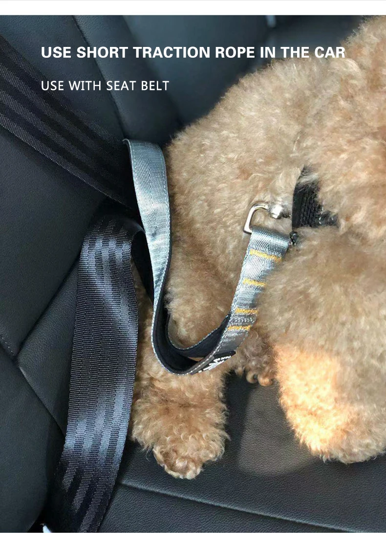 Walking Short Leash Durable Pet - peticadeals